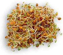 microgreens,1 lb, "COOL BEANS n SPROUTS" Brand, Love Your Heart Mix Seeds for Sprouting A Combination of Adzuki Beans