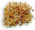 microgreens,1 lb, "COOL BEANS n SPROUTS" Brand, Love Your Heart Mix Seeds for Sprouting A Combination of Adzuki Beans