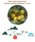 170g/6oz., Chinese Peeled Walnuts,Fresh Linan Mountain Walnut Kernels,Walnuts with Extra Creamy or Salty Flavoring,Net