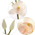 30" 10 2 Larksilk Silk Cymbidium Orchid Stem - White, Long with Flowers and Buds | Perfect for Weddings, Home Decor