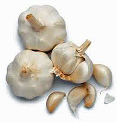 BULB (9 BULB COUNTRY GARLIC Ounces), FRESH CALIFORNIA SOFTNECK GARLIC FOR PLANTING, EATING AND GROWING YOUR OWN GARLIC