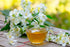 150g/5.29oz Xin Qing Taiwan High Altitude Jasmine Green Tea High Mountain Jasmine Green Tea Taiwan Tea Natural floral