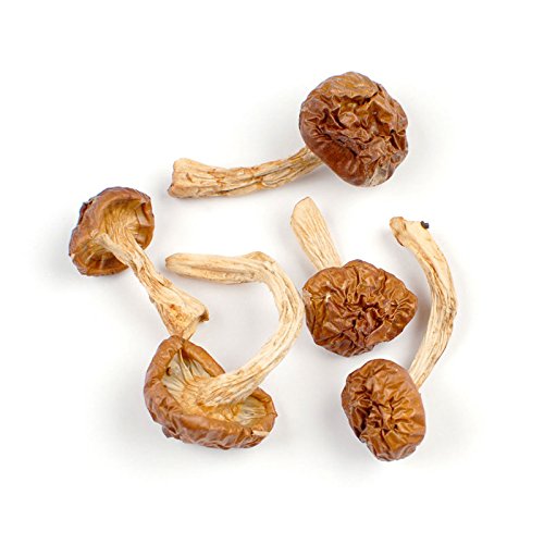 Essential Spice Dried Nameko Mushrooms Mild, Buttery Flavor with Silky Texture Ideal