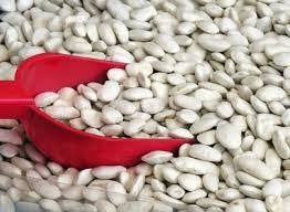 Mulberry Lane Farms 5 Great Northern Beans, Pounds USDA Certified Organic, Non-GMO, Dried, Bulk, Product of USA