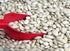 Mulberry Lane Farms 5 Great Northern Beans, Pounds USDA Certified Organic, Non-GMO, Dried, Bulk, Product of USA