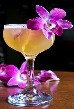 (2x50 Miami Fresh Orchid Flower OrchidClub USA Sunne Tropical Loose Bloom Head DIY Lei food drink decoration PURPLE