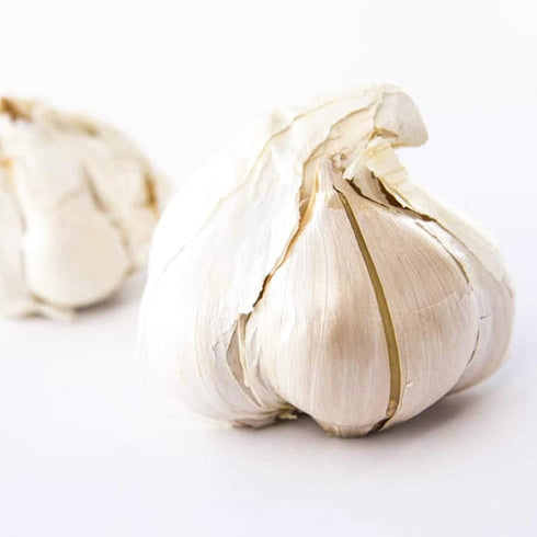 Generic Elephant Garlic. Grown in California. 2 Huge Bulbs. Delicious milder, mellower flavor.