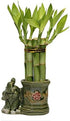 JM BAMBOO Small Lucky Bamboo Arrangement Happy Elephant Favor Unique from jmbamboo