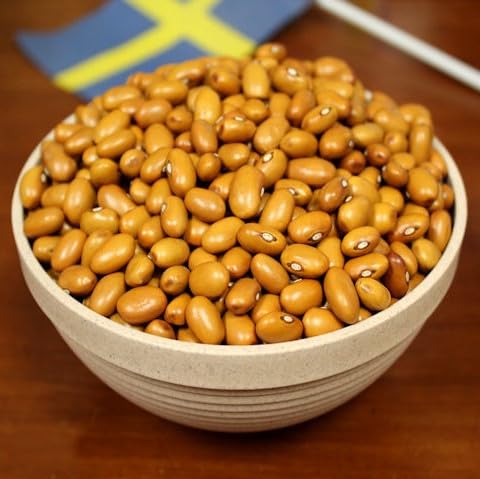 Generic Swedish Brown Beans (Bruna Bonor), 1lb bag