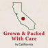 15 oz (Pack 1) Contadina Tomato Basil Pizza Squeeze