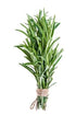 TastePadThai Fresh Herbs Bundle. Fresh Rosemary, Thyme, Oregano and Fresh Mint