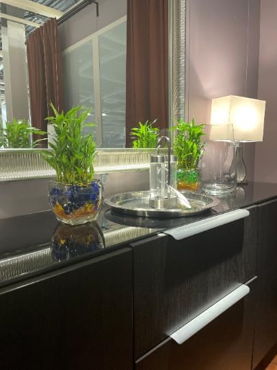 Generic Elegant Three-Tier Lucky Bamboo Arrangement in Glass with Green Marbles