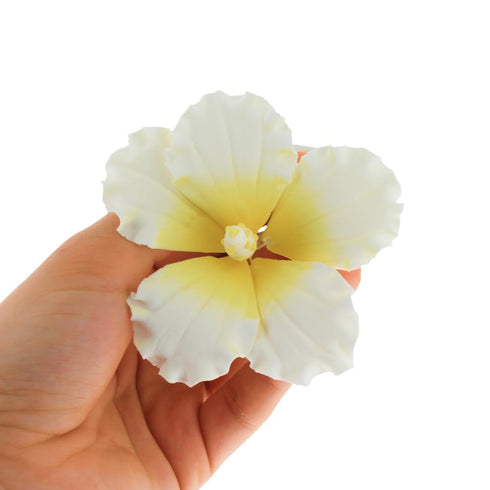 Global Sugar Art Hibiscus Sugar Cake Flowers, White with Yellow Hawaiian Cake