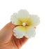 Global Sugar Art Hibiscus Sugar Cake Flowers, White with Yellow Hawaiian Cake