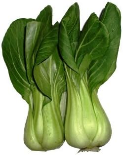 WASOTO Farm Fresh Delicious Baby Bok Choy - Approx 1 lbL8