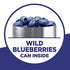 17.1 OZ (Pack 6) Krusteaz Wild Blueberry Muffin Mix