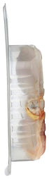 Bell & Evans 2 Whole Foods Market, Chicken Leg Whole Air Chilled Organic Step