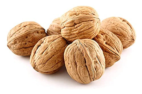 Anna and Sarah Walnuts in Shell - New Crop - Jumbo -