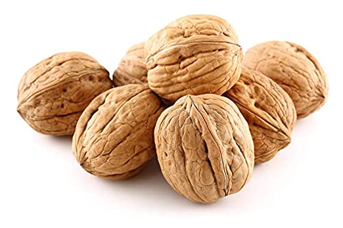 Anna and Sarah Walnuts in Shell - New Crop - Jumbo -