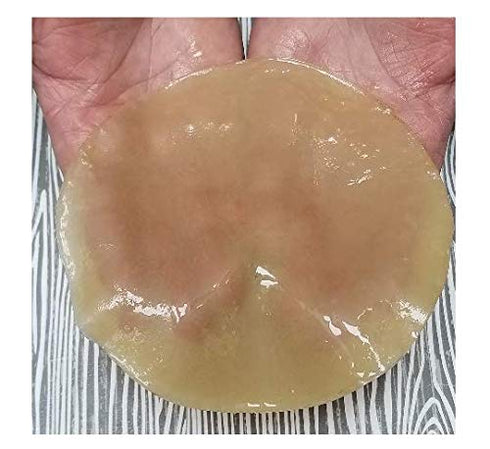 Generic Raw Apple Cider Vinegar Starter Kit with Extra Large Mother Culture Makes a Gallon of Quality ACV at Home