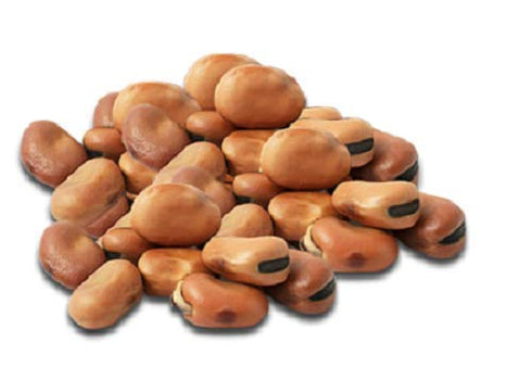 Al Amin Foods 6 16oz/450g California Garden Fava Beans with Chickpeas Palestinian Recipe Cans each.