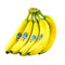 Evaxo Fresh Fruits Banana 3 lb bunch .#B
