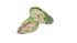 Generic Pack 3 (12 Pack) Spinach & Herb Soft Wraps / Tortilla Wraps Jumbo Size Of Per