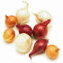Kejora Fresh Pearl Onions Combination (Yellow, White and Red) 3 x 10