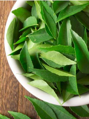 1oz (28g) Rani Fresh Curry Leaves ~ All Natural | Vegan | Gluten Friendly | NON-GMO | Product of USA