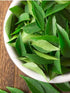 1oz (28g) Rani Fresh Curry Leaves ~ All Natural | Vegan | Gluten Friendly | NON-GMO | Product of USA