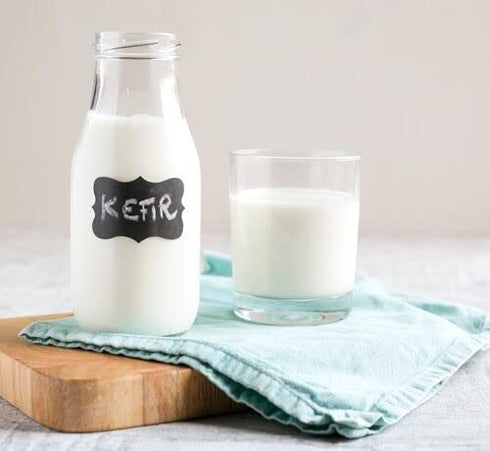 Fresh Live Milk Kefir Grains Probiotic Starter Cultures
