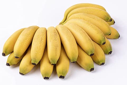 Apple Bananas, Fresh Apple Bananas, Manzano Banana 2.5 LBS