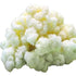 Generic Milk Kefir Grains for Making Probiotic Kefir Drink, strong probiotic, 1 TABLESPOON,