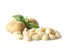 1.1 lbs (Pack 4) Sanniti Potato Gnocchi