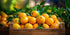 RawJoy (8 lb) Orange fruits fresh hand picked from orchard naturally grown farm produce