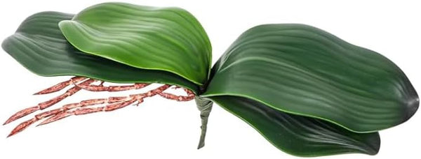 DPWOUM 1 piece Green Faux Orchid Leaves 8 InchOrchid Leaves Leaves Real Touch