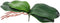 DPWOUM 1 piece Green Faux Orchid Leaves 8 InchOrchid Leaves Leaves Real Touch
