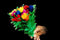 Udays Magic World Sleeve Bouquet 10 Flowers by Uday - Trick