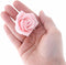 Global Sugar Art Peace Rose Sugar Cake Flowers Pink 2 Inch, 8