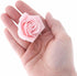 Global Sugar Art Peace Rose Sugar Cake Flowers Pink 2 Inch, 8
