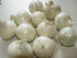 Generic (5 White Onions, Fresh Produce, USA Grown, Non-Gmo, Bulk Wholesale Pounds)