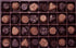 64pc Assorted Milk & Dark Chocolates Certified Kosher-dairy