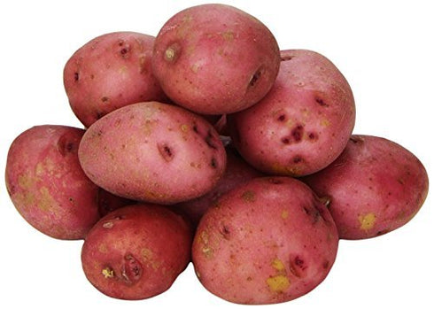 Fresh Produce Baby Red Potatoes 1 Pound 1lb
