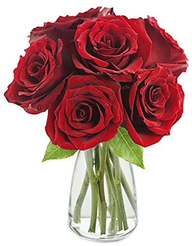 KaBloom - Passionate Love - 6 Red Roses with Vase for Special
