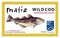 Matiz Wild Cod in Olive Oil | From Spain | Natural Artisan