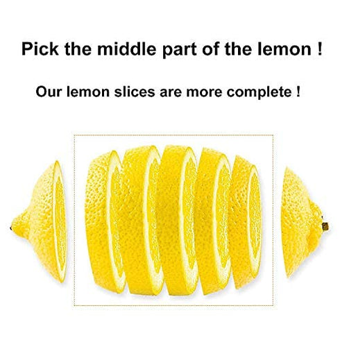(1.1lbs) 500g (17.6) Dried Lemon Slices, Lemon Tea, Sour and Refreshing Citrus, Sugar Free, Vegan & Kosher