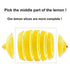 (1.1lbs) 500g (17.6) Dried Lemon Slices, Lemon Tea, Sour and Refreshing Citrus, Sugar Free, Vegan & Kosher
