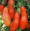 Tomato Sausage 1,000 Seeds