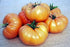 Kelloggs Breakfast Heirloom Tomato Seeds - Perfect for Home Gardens