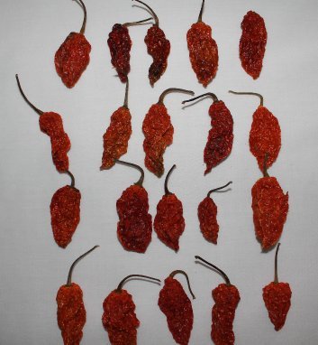 Set 10 10 10 2 (36 Wicked Tickle Spice Gift Ghost, Scorpion, Carolina Reaper Peppers + Free Each Total)